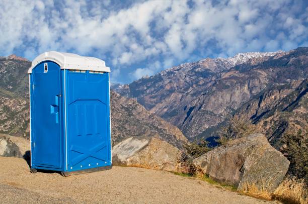 Best Sanitation services for porta potties  in Waterloo, NE